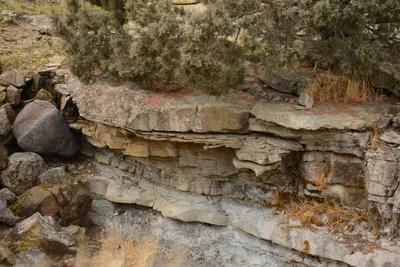 DSC_3139 (Large).JPG